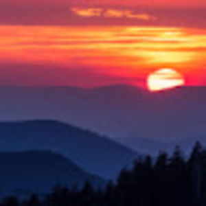 Meet your Posher, Allena